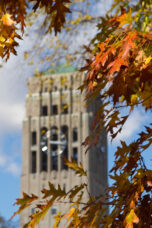 伯顿纪念塔由秋叶构成。
