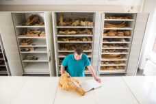 An assistant research scientist inspects a narwhal skull in the Museum of Zoology's mammals collection in the Alexander G. Ruthven Museums Building.