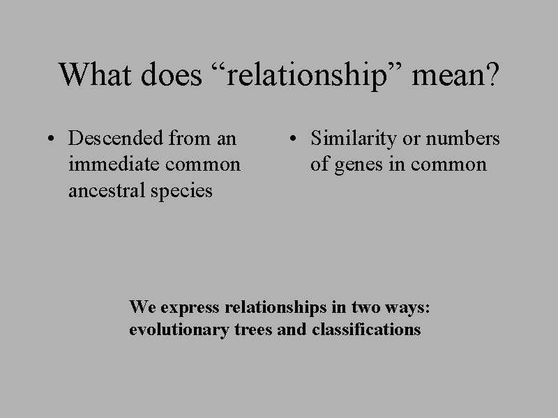 what does a relation mean