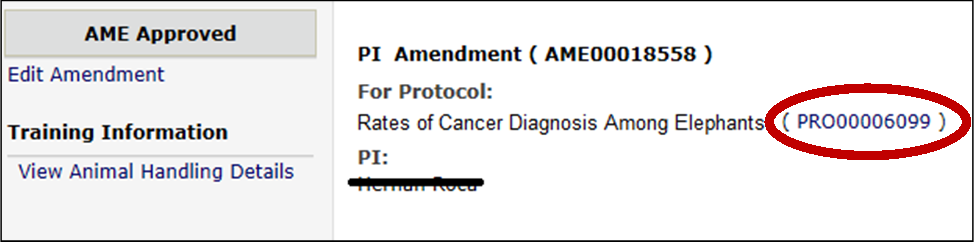 Approved Amendment workspace showing link to protocol workspace next to protocol title