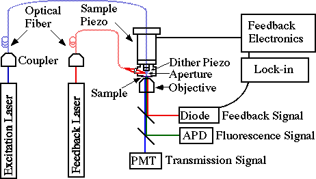 fig 2: NSOM Schematic
