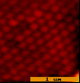 fig 6: 200 nm Spheres In Solution