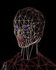 WireFrame Head Image