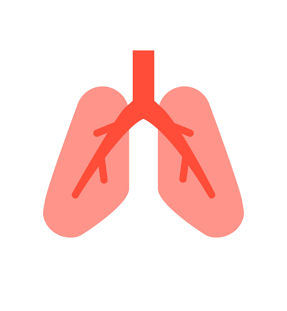 lung cancer & ipf