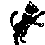 animated kitty