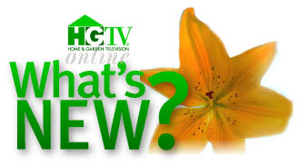 picture of the hgtv logo here
