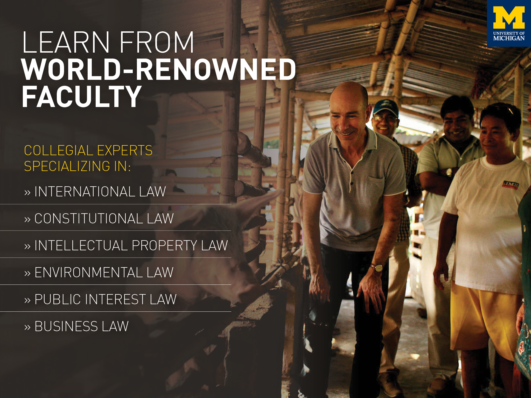 Information about Law School