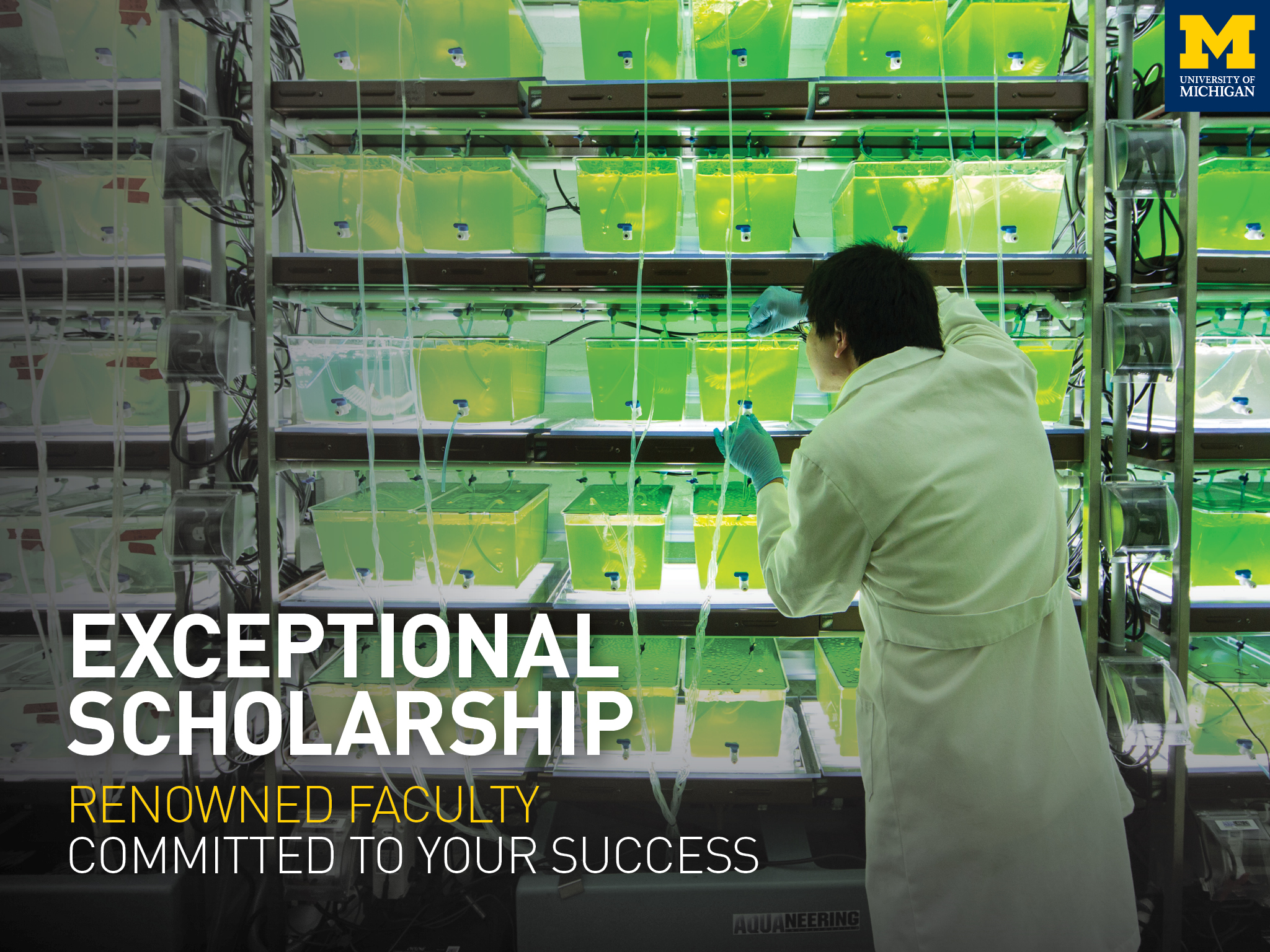 Information about School for Environment and Sustainability