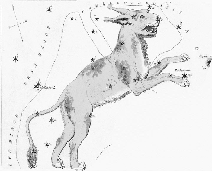 The Constellation of Lynx